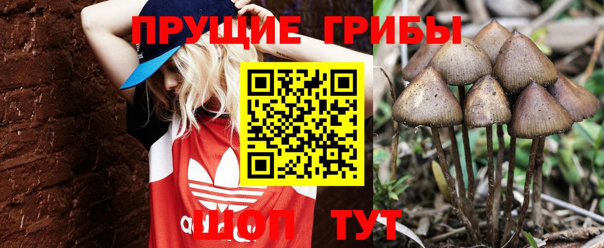 Галлюциногенные грибы ЛСД  Вход с VPN  Галлюциногенные грибы Cubensis  Назрань 