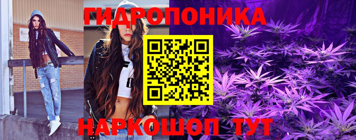 Каннабис сатива  Шишки марихуана SATIVA & INDICA  Назрань  Вход с VPN  Шишки марихуана марихуана 